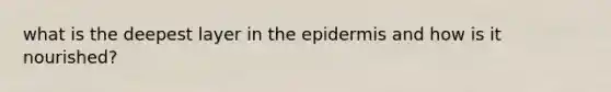 what is the deepest layer in <a href='https://www.questionai.com/knowledge/kBFgQMpq6s-the-epidermis' class='anchor-knowledge'>the epidermis</a> and how is it nourished?