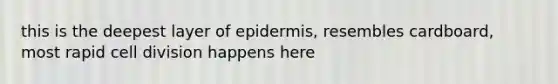 this is the deepest layer of epidermis, resembles cardboard, most rapid cell division happens here