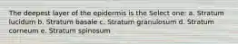 The deepest layer of the epidermis is the Select one: a. Stratum lucidum b. Stratum basale c. Stratum granulosum d. Stratum corneum e. Stratum spinosum