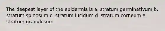 The deepest layer of <a href='https://www.questionai.com/knowledge/kBFgQMpq6s-the-epidermis' class='anchor-knowledge'>the epidermis</a> is a. stratum germinativum b. stratum spinosum c. stratum lucidum d. stratum corneum e. stratum granulosum