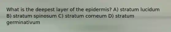 What is the deepest layer of <a href='https://www.questionai.com/knowledge/kBFgQMpq6s-the-epidermis' class='anchor-knowledge'>the epidermis</a>? A) stratum lucidum B) stratum spinosum C) stratum corneum D) stratum germinativum