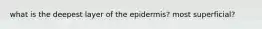 what is the deepest layer of the epidermis? most superficial?