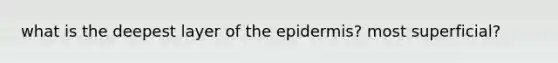 what is the deepest layer of the epidermis? most superficial?