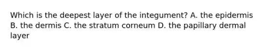 Which is the deepest layer of the integument? A. the epidermis B. the dermis C. the stratum corneum D. the papillary dermal layer