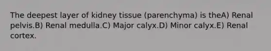 The deepest layer of kidney tissue (parenchyma) is theA) Renal pelvis.B) Renal medulla.C) Major calyx.D) Minor calyx.E) Renal cortex.