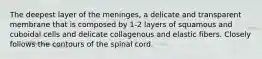 The deepest layer of the meninges, a delicate and transparent membrane that is composed by 1-2 layers of squamous and cuboidal cells and delicate collagenous and elastic fibers. Closely follows the contours of the spinal cord.