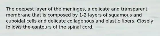 The deepest layer of the meninges, a delicate and transparent membrane that is composed by 1-2 layers of squamous and cuboidal cells and delicate collagenous and elastic fibers. Closely follows the contours of the spinal cord.