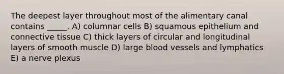 The deepest layer throughout most of the alimentary canal contains _____. A) columnar cells B) squamous epithelium and connective tissue C) thick layers of circular and longitudinal layers of smooth muscle D) large blood vessels and lymphatics E) a nerve plexus