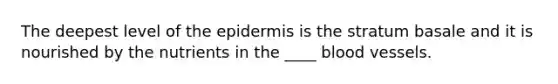 The deepest level of the epidermis is the stratum basale and it is nourished by the nutrients in the ____ blood vessels.