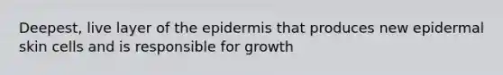 Deepest, live layer of the epidermis that produces new epidermal skin cells and is responsible for growth