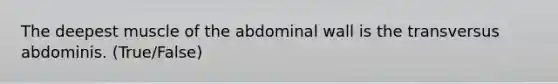 The deepest muscle of the abdominal wall is the transversus abdominis. (True/False)