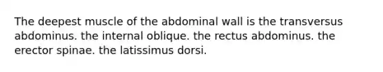 The deepest muscle of the abdominal wall is the transversus abdominus. the internal oblique. the rectus abdominus. the erector spinae. the latissimus dorsi.