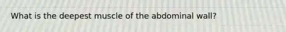 What is the deepest muscle of the abdominal wall?