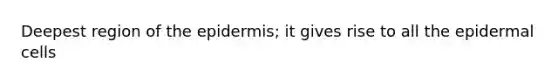 Deepest region of <a href='https://www.questionai.com/knowledge/kBFgQMpq6s-the-epidermis' class='anchor-knowledge'>the epidermis</a>; it gives rise to all the epidermal cells