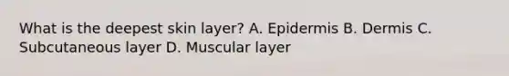 What is the deepest skin layer? A. Epidermis B. Dermis C. Subcutaneous layer D. Muscular layer