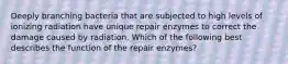 Deeply branching bacteria that are subjected to high levels of ionizing radiation have unique repair enzymes to correct the damage caused by radiation. Which of the following best describes the function of the repair enzymes?