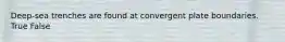 Deep-sea trenches are found at convergent plate boundaries. True False