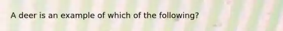 A deer is an example of which of the following?