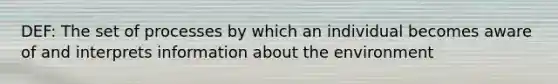 DEF: The set of processes by which an individual becomes aware of and interprets information about the environment