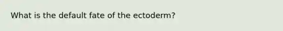 What is the default fate of the ectoderm?