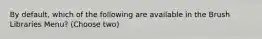 By default, which of the following are available in the Brush Libraries Menu? (Choose two)