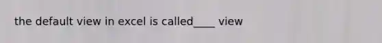 the default view in excel is called____ view