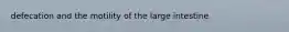 defecation and the motility of the large intestine