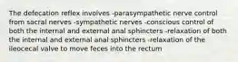 The defecation reflex involves -parasympathetic nerve control from sacral nerves -sympathetic nerves -conscious control of both the internal and external anal sphincters -relaxation of both the internal and external anal sphincters -relaxation of the ileocecal valve to move feces into the rectum