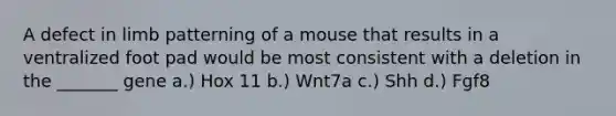 A defect in limb patterning of a mouse that results in a ventralized foot pad would be most consistent with a deletion in the _______ gene a.) Hox 11 b.) Wnt7a c.) Shh d.) Fgf8