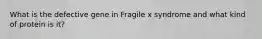 What is the defective gene in Fragile x syndrome and what kind of protein is it?