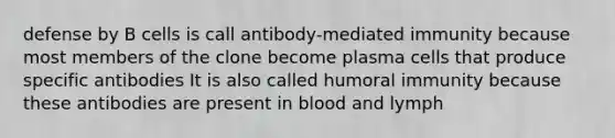 defense by B cells is call antibody-mediated immunity because most members of the clone become plasma cells that produce specific antibodies It is also called humoral immunity because these antibodies are present in blood and lymph