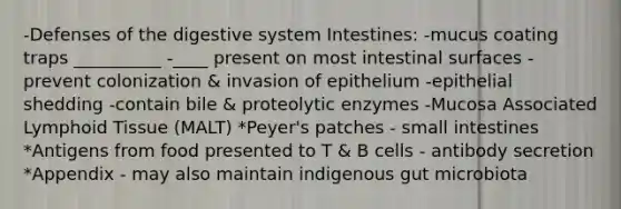 -Defenses of the digestive system Intestines: -mucus coating traps __________ -____ present on most intestinal surfaces - prevent colonization & invasion of epithelium -epithelial shedding -contain bile & proteolytic enzymes -Mucosa Associated Lymphoid Tissue (MALT) *Peyer's patches - small intestines *Antigens from food presented to T & B cells - antibody secretion *Appendix - may also maintain indigenous gut microbiota