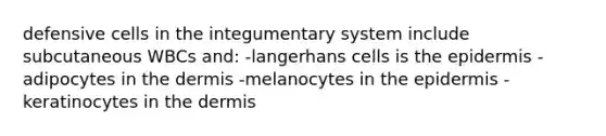 defensive cells in the integumentary system include subcutaneous WBCs and: -langerhans cells is the epidermis -adipocytes in the dermis -melanocytes in the epidermis -keratinocytes in the dermis