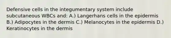 Defensive cells in the integumentary system include subcutaneous WBCs and: A.) Langerhans cells in the epidermis B.) Adipocytes in the dermis C.) Melanocytes in the epidermis D.) Keratinocytes in the dermis