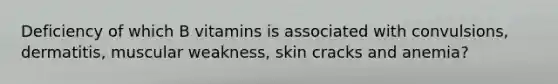 Deficiency of which B vitamins is associated with convulsions, dermatitis, muscular weakness, skin cracks and anemia?