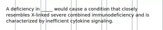 A deficiency in _____ would cause a condition that closely resembles X-linked severe combined immunodeficiency and is characterized by inefficient cytokine signaling.