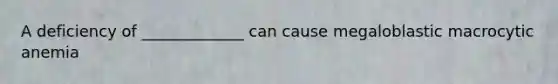 A deficiency of _____________ can cause megaloblastic macrocytic anemia