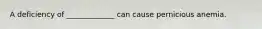 A deficiency of _____________ can cause pernicious anemia.