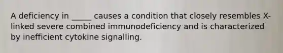 A deficiency in _____ causes a condition that closely resembles X-linked severe combined immunodeficiency and is characterized by inefficient cytokine signalling.