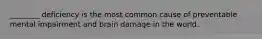 ________ deficiency is the most common cause of preventable mental impairment and brain damage in the world.