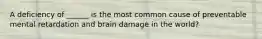 A deficiency of ______ is the most common cause of preventable mental retardation and brain damage in the world?