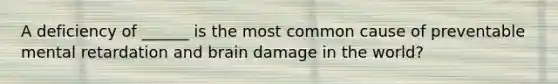 A deficiency of ______ is the most common cause of preventable mental retardation and brain damage in the world?