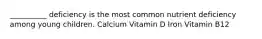 __________ deficiency is the most common nutrient deficiency among young children. Calcium Vitamin D Iron Vitamin B12