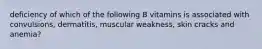 deficiency of which of the following B vitamins is associated with convulsions, dermatitis, muscular weakness, skin cracks and anemia?