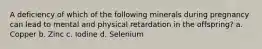 A deficiency of which of the following minerals during pregnancy can lead to mental and physical retardation in the offspring? a. Copper b. Zinc c. Iodine d. Selenium