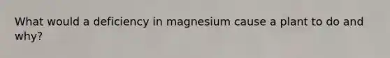 What would a deficiency in magnesium cause a plant to do and why?