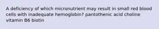 A deficiency of which micronutrient may result in small red blood cells with inadequate hemoglobin? pantothenic acid choline vitamin B6 biotin