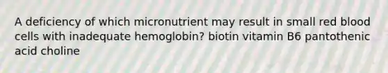 A deficiency of which micronutrient may result in small red blood cells with inadequate hemoglobin? biotin vitamin B6 pantothenic acid choline