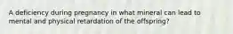 A deficiency during pregnancy in what mineral can lead to mental and physical retardation of the offspring?