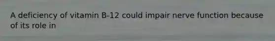 A deficiency of vitamin B-12 could impair nerve function because of its role in